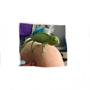 Meet your Posher, Wanda